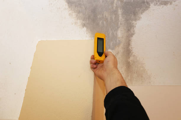 Mold Removal for HVAC Installations in Muscatine, IA