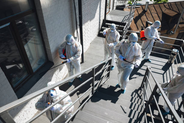 Best Commercial Mold Inspection  in Muscatine, IA
