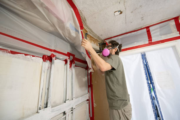 Best Mold Odor Removal Services  in Muscatine, IA