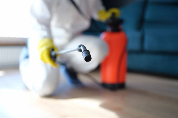 Best Airborne Mold Testing  in Muscatine, IA