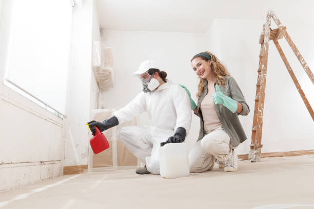 Best Asbestos and Lead Testing During Mold Inspection  in Muscatine, IA
