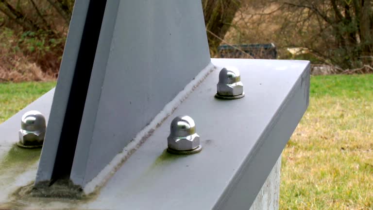 Best Environmental Consulting for Mold Prevention  in Muscatine, IA